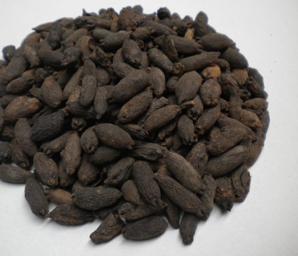 ����δĥ������ڱ���