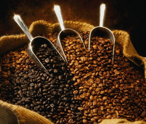 ���ݿ��Ĺ����ڱ�������