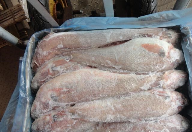 火腿进口清关公司 火腿进口清关公司