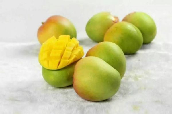 �䶳�������ڱ��ع�˾