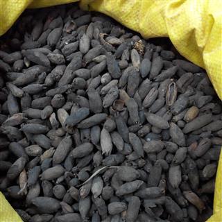 ˹�������ⶹޢ���ڱ���