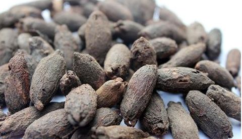 印尼八角茴香进口报关 印尼八角茴香进口报关